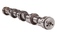 Camshaft  Lada Niva 21214 (1700)